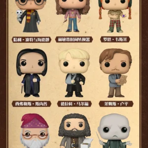 Funko Harry Potter Hermione Ginny Ron Hagrid Dumbledore Snape Peripheral Figurines Gifts