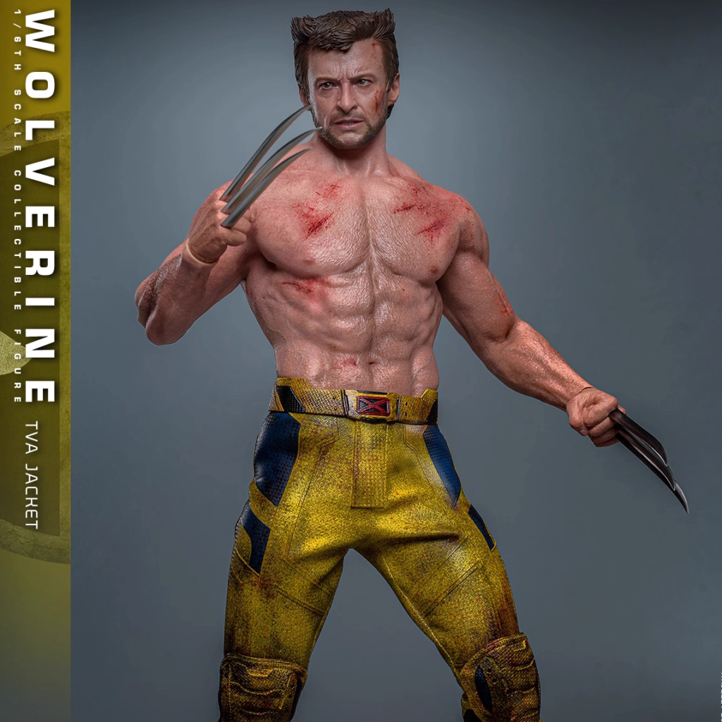 In Stock Hottoys Ht 1/6 Mms756 Deadpool and Wolverine Wolverine Tva Uniform Version