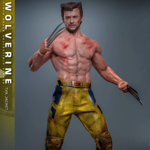 In Stock Hottoys Ht 1/6 Mms756 Deadpool and Wolverine Wolverine Tva Uniform Version