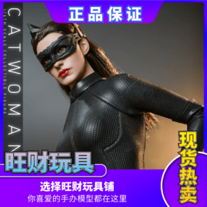 In Stock Hottoys Ht 1/6 Mms627 Batman Trilogy Catwoman Reboot Version Action Figure
