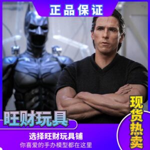 In Stock Ht Hottoys Mms702 Batman the Dark Knight Rises Bane Version Gnaku Large Set