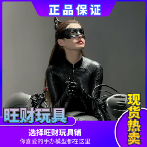 In Stock Queen Studios Qs 1/3 Batman Catwoman Anne Hathaway Full Body Figure with Hair Transplant