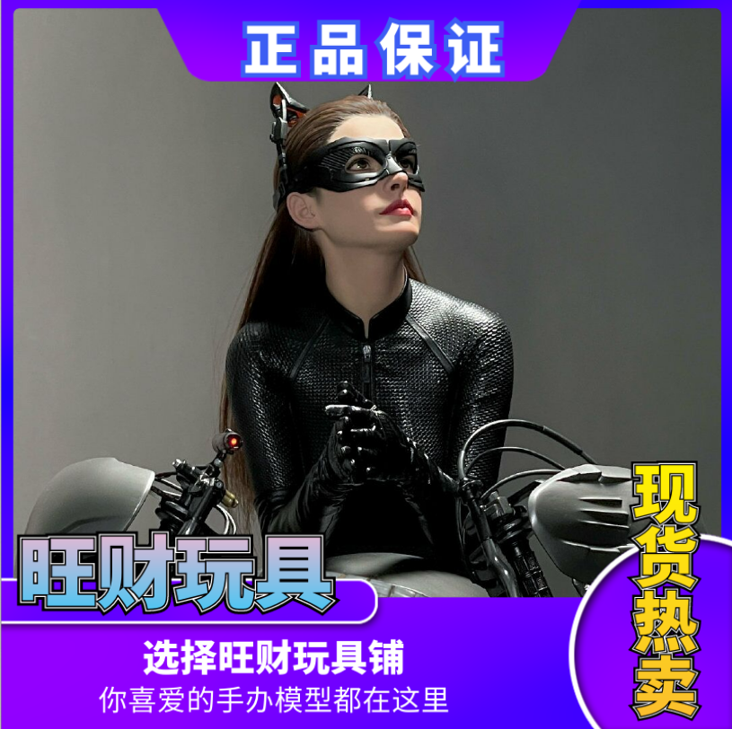 In Stock Queen Studios Qs 1/3 Batman Catwoman Anne Hathaway Full Body Figure with Hair Transplant