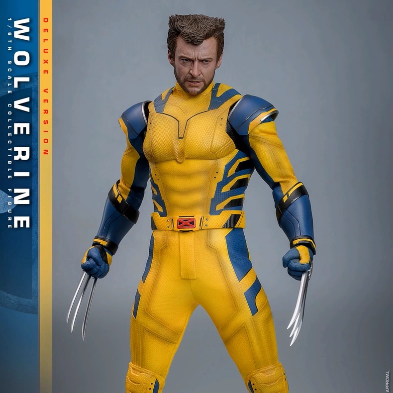 Brand New in Stock Hottoys Ht Mms753 Mms754 Deadpool 3 Wolverine Regular Deluxe